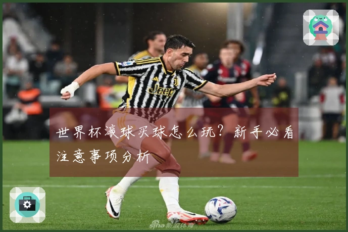 世界杯滚球买球怎么玩？新手必看注意事项分析