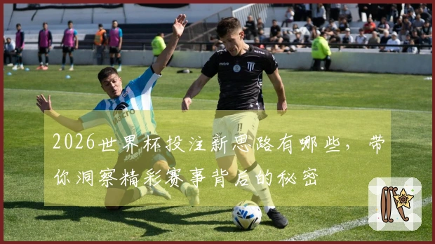2026世界杯投注新思路有哪些，带你洞察精彩赛事背后的秘密